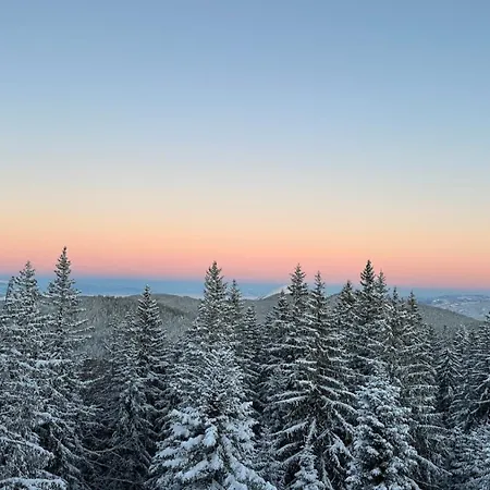 Zlatni Javor - 511 Jahorina